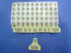 3M-Pole-ID-Tags-for-Telecom-NZ-Wood-Poles-(31889)